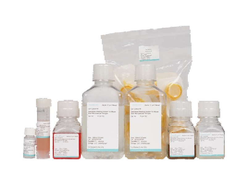 Mouse Brain Microvascular Pericyte Isolation and Culture KitMouse Brain Microvascular Pericyte Isolation and Culture Kit - 2