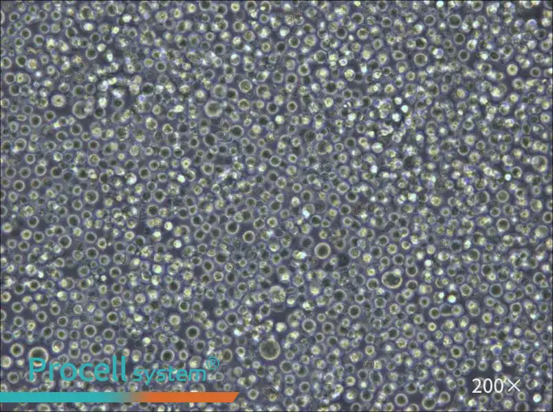 Pfeiffer Cell Complete Medium - 6