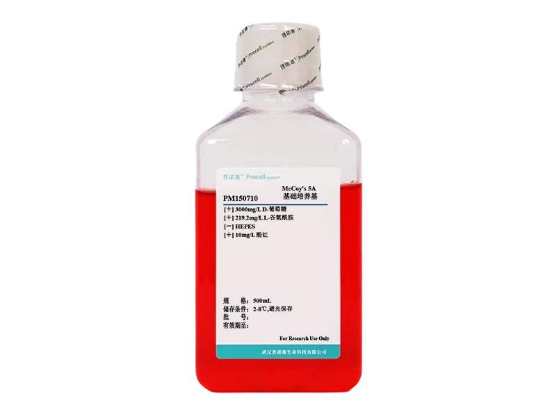 https://789.bio/ec/kKqcNdGL