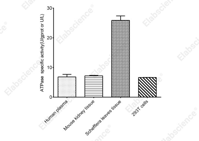 ATPase/GTPase Activity Colorimetric Assay kit - 2