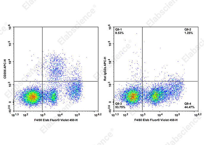 APC Anti-Mouse CD206 Antibody[Y17-505]-1