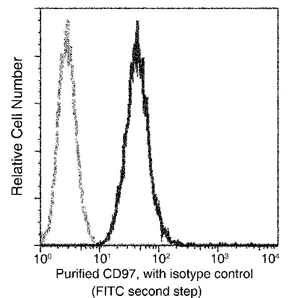 Recombinant CD97 Monoclonal Antibody - small - 2