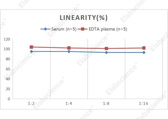 QuicKey Pro Rat CXCL7 (Thromboglobulin, Beta) ELISA Kit - 2