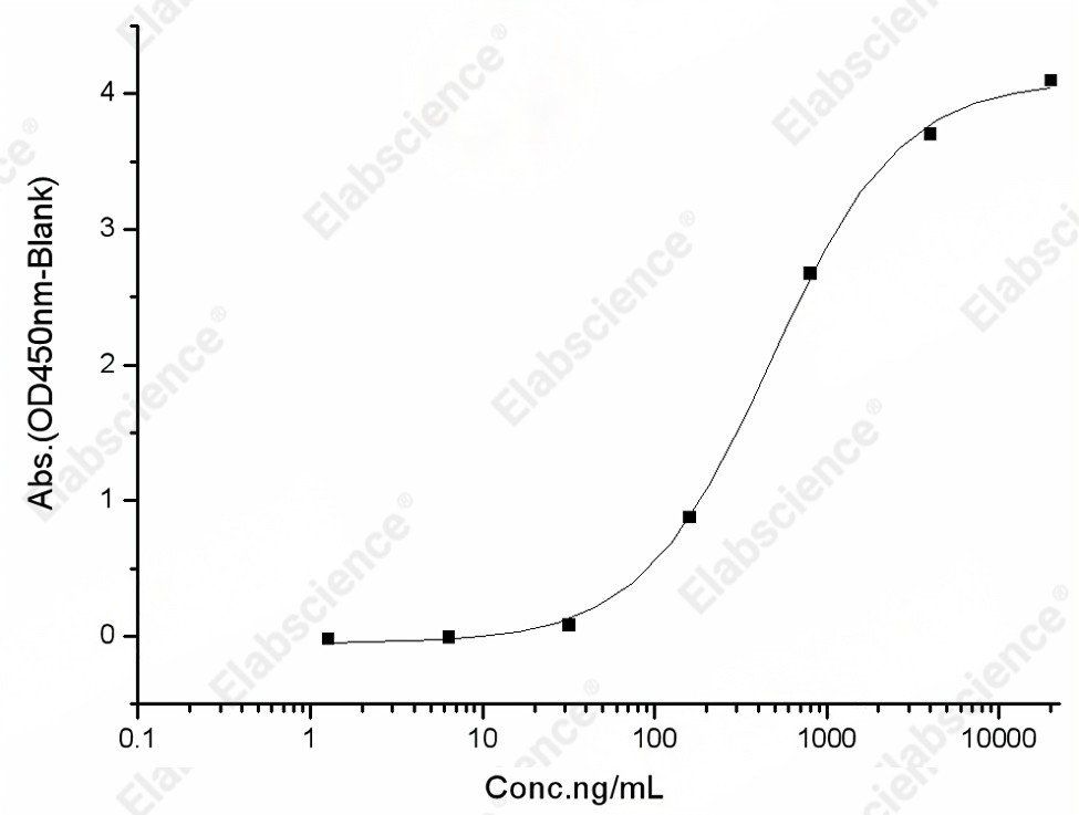 Recombinant SARS-CoV-2 S1 Protein (His Tag)(D614G) - 2