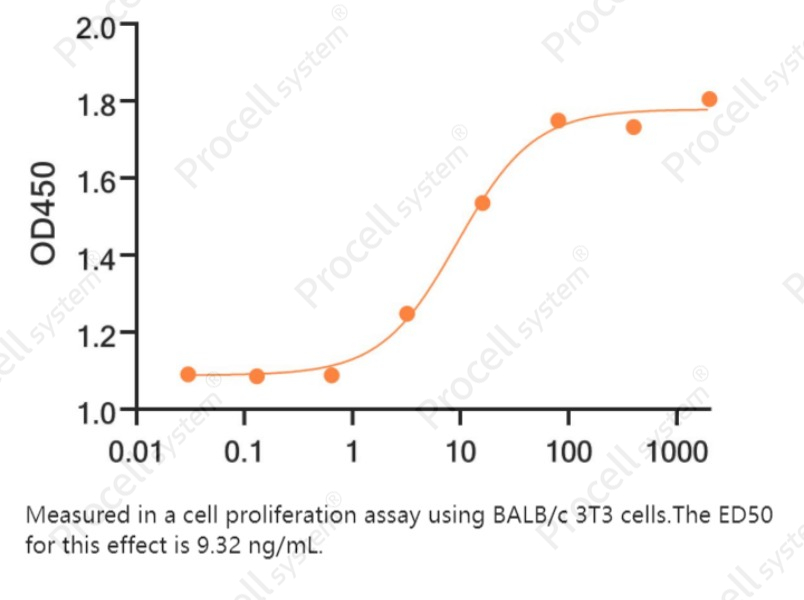 FGF-8B, Human, RecombinantFGF-8B, Human, Recombinant - 2