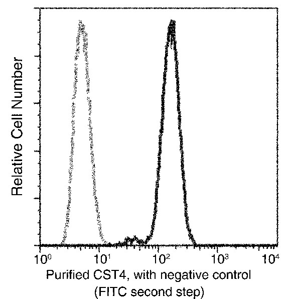 Recombinant Cystatin S/CST4 Monoclonal Antibody - small - 2