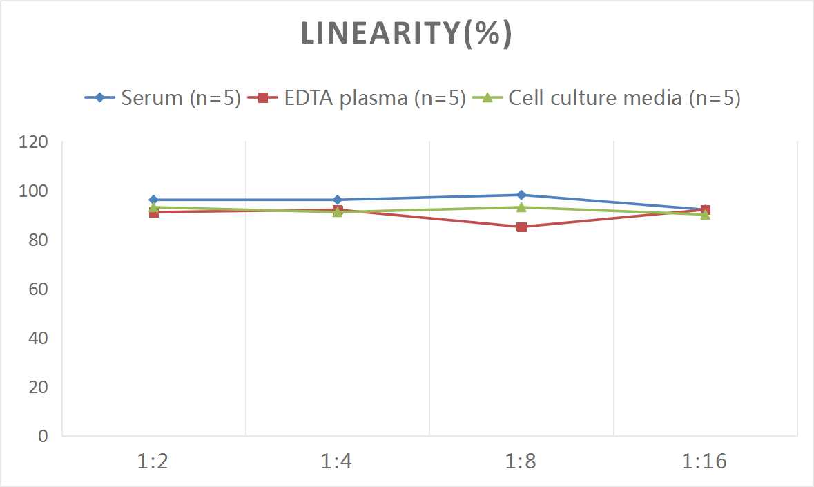 QuicKey Pro Mouse IgG(Immunoglobulin G) ELISA Kit-产品推荐-11