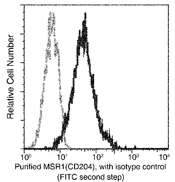 Recombinant MSR1/CD204 Monoclonal Antibody - small - 3