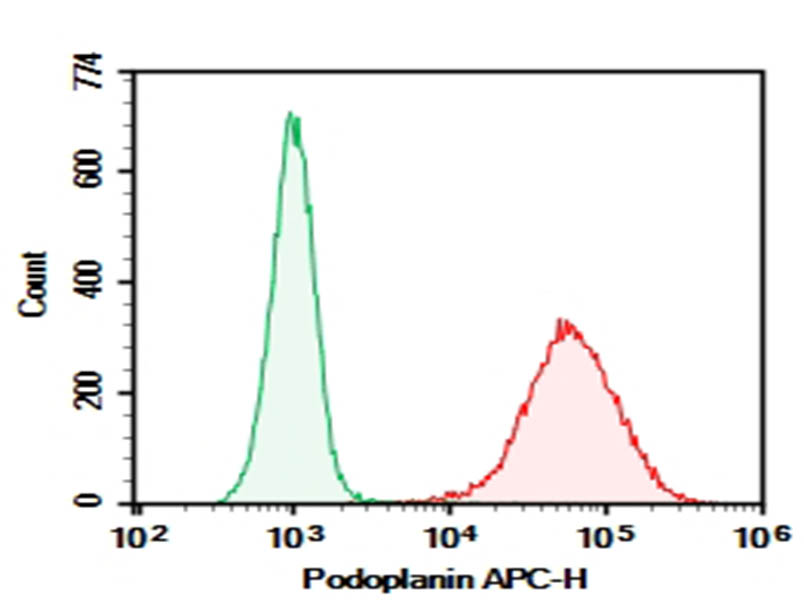 Purified Anti-Mouse Podoplanin Antibody[8.1.1], Functional Grade - 1