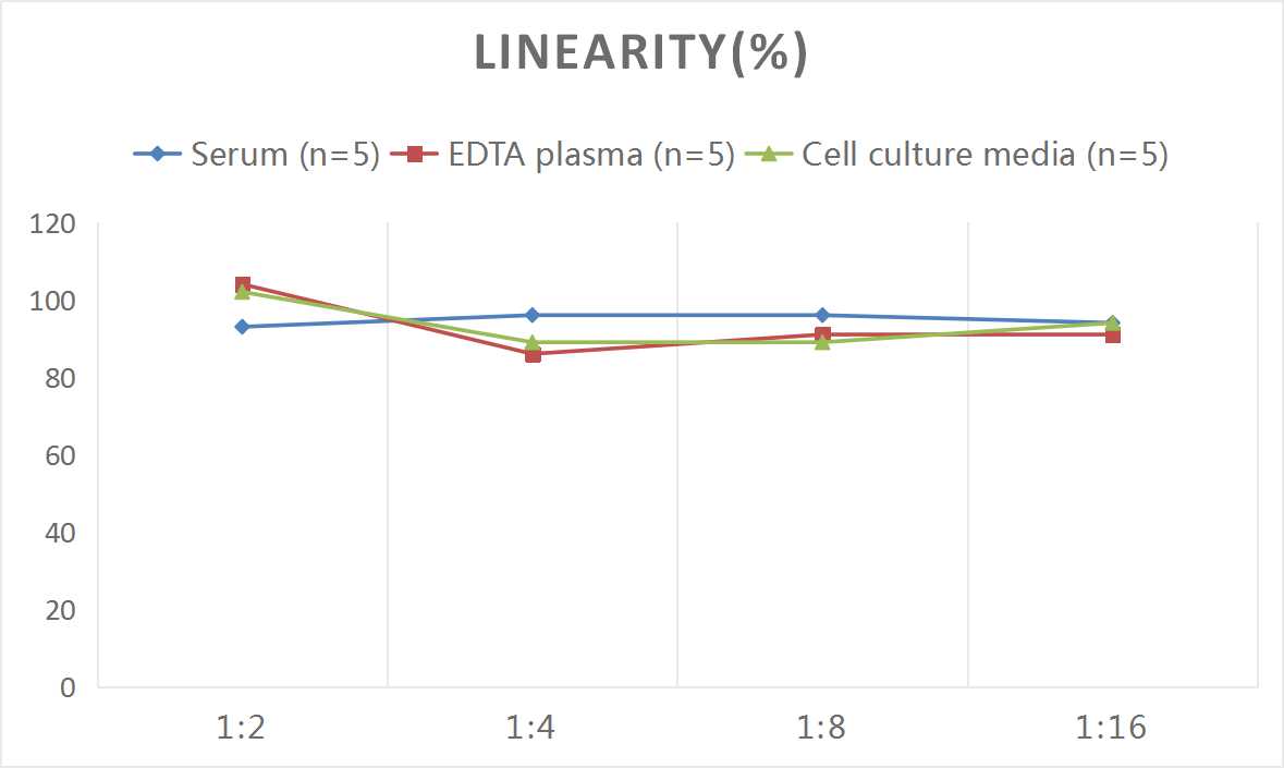 Human IL-6(Interleukin 6)  ELISA Kit-产品推荐-4