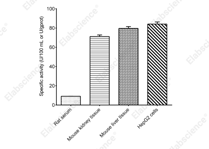 Acid Phosphatase (ACP) Activity Assay Kit - 2