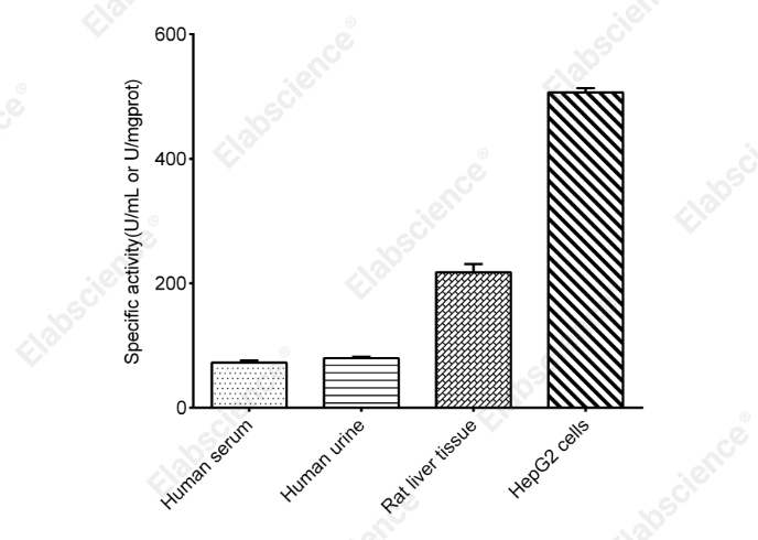 Total Superoxide Dismutase (T-SOD) Activity Assay Kit (Hydroxylamine Method) - 2