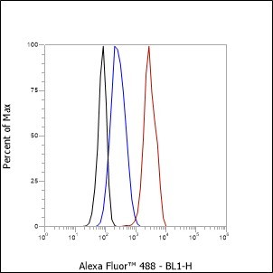 Recombinant Cdc27 Monoclonal Antibody - small - 5