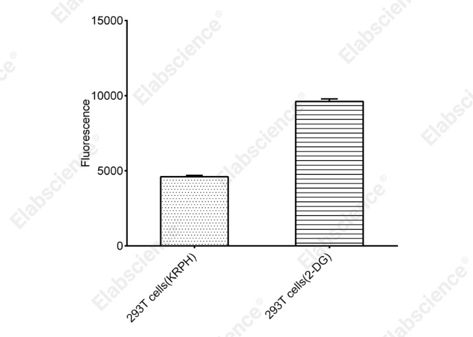 Glucose Uptake Fluorometric Assay Kit - 2