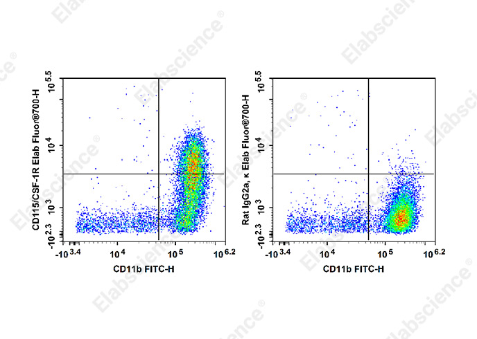 Elab Fluor® 700 Anti-Mouse CD115/CSF-1R Antibody[AFS98]-1