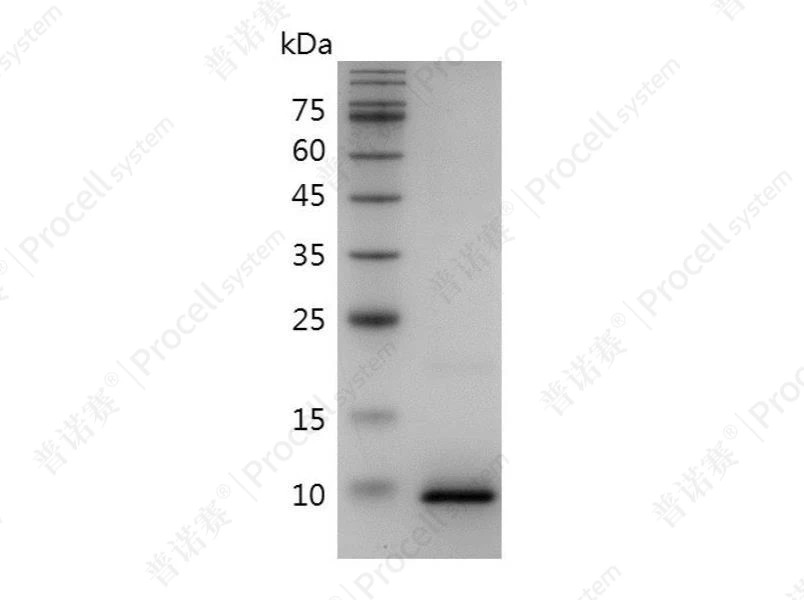 https://789.bio/ec/lLRxa5