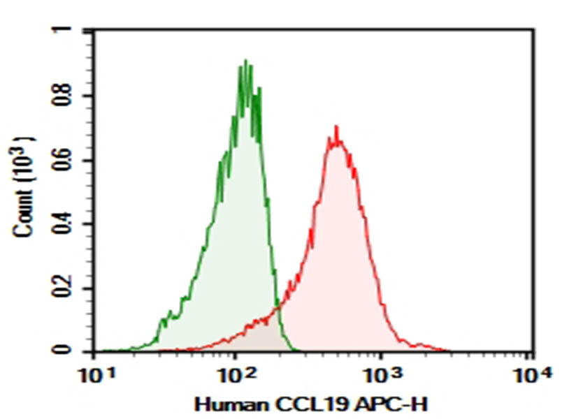 Purified Anti-Human CCL19 Antibody[9H5] - 1