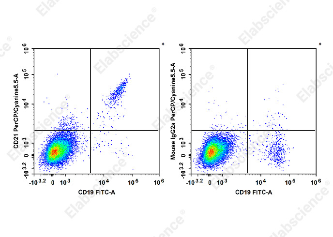 PerCP/Cyanine5.5 Anti-Human CD21 Antibody[HI21a]-1