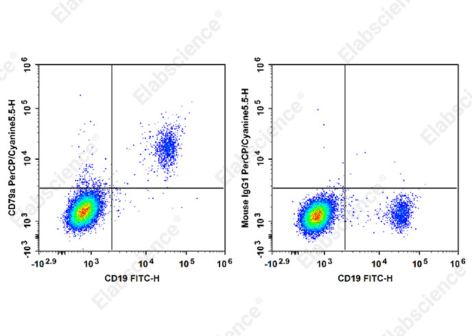 PerCP/Cyanine5.5 Anti-Human CD79a Antibody[HM47]-1