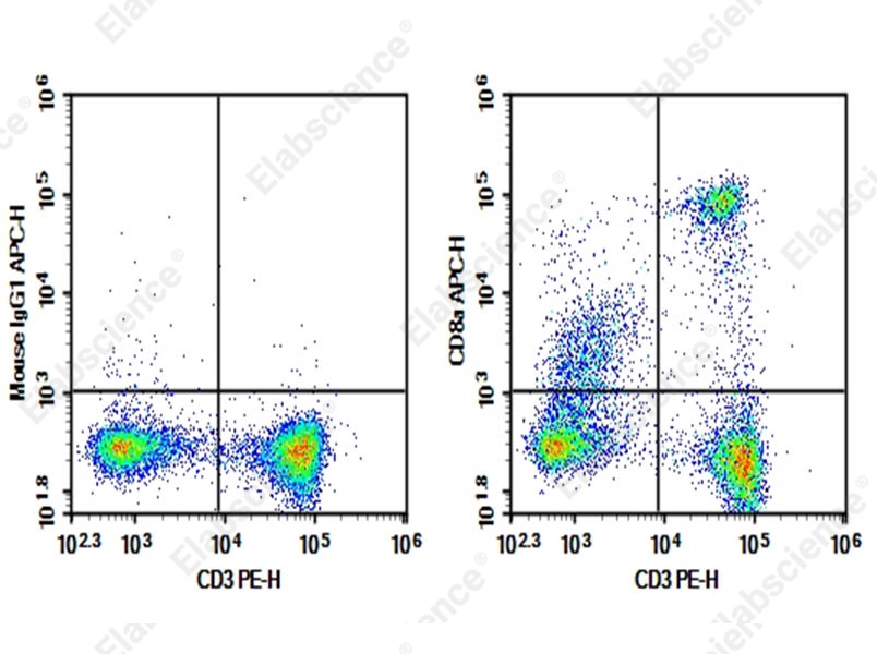 Purified Anti-Rat Cd8a Antibody[OX-8] - 1