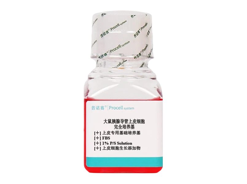 https://789.bio/ec/lRkhrN7A