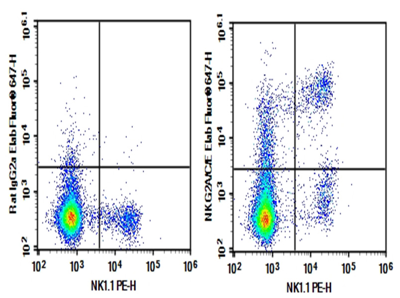 Purified Anti-Mouse NKG2A/C/E Antibody[20D5]-1