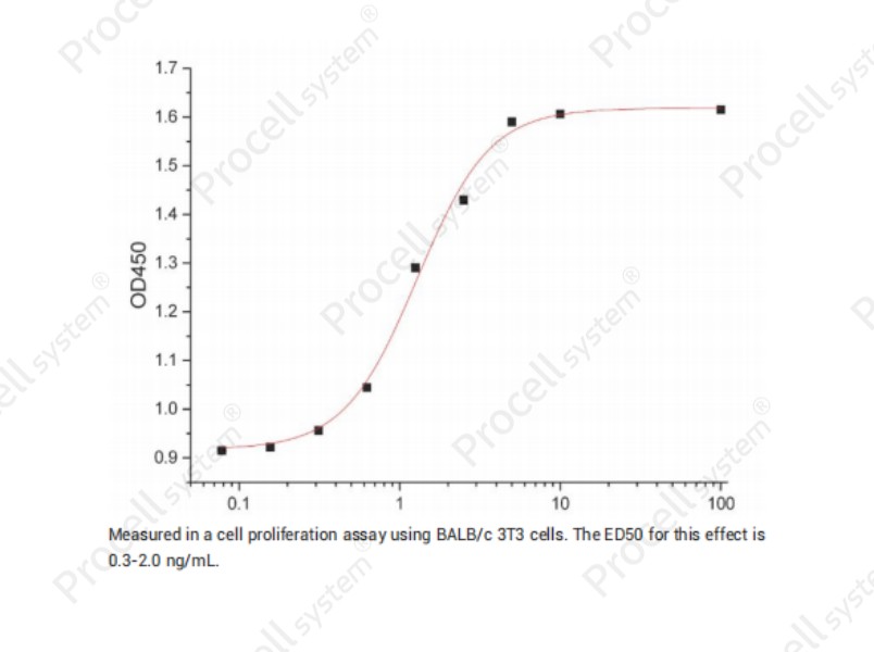 FGF-2/bFGF/FGF-b, Human, RecombinantFGF-2/bFGF/FGF-b, Human, Recombinant - 2
