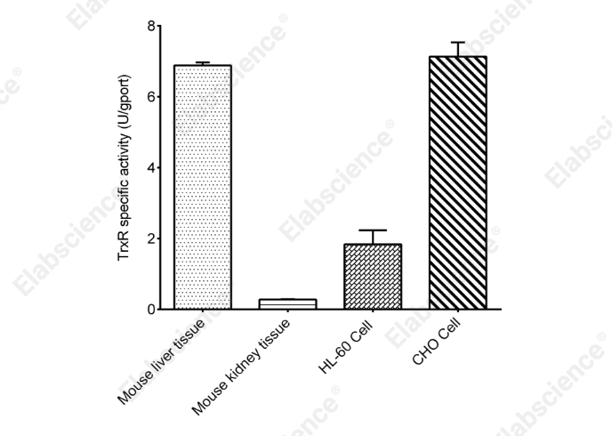 Thioredoxin Reductase (TrxR) Activity Assay Kit - 1