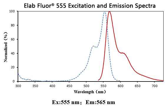 Elab Fluor® 555-11-dUTP-1
