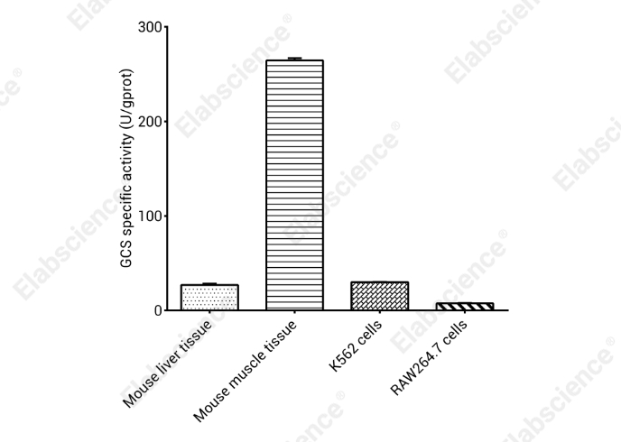 Glycogen Synthase(GCS) Activity Colorimetric Assay Kit - 1
