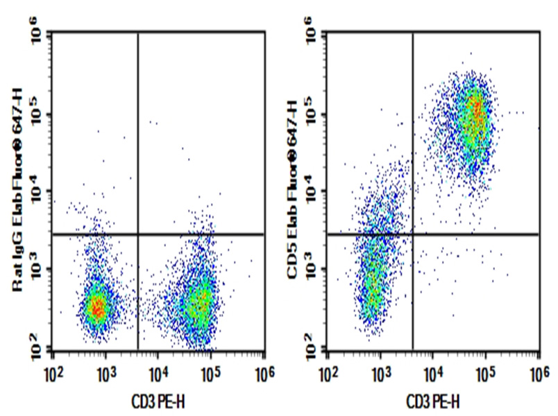 Purified Anti-Mouse CD5 Antibody[53-7.3]-1