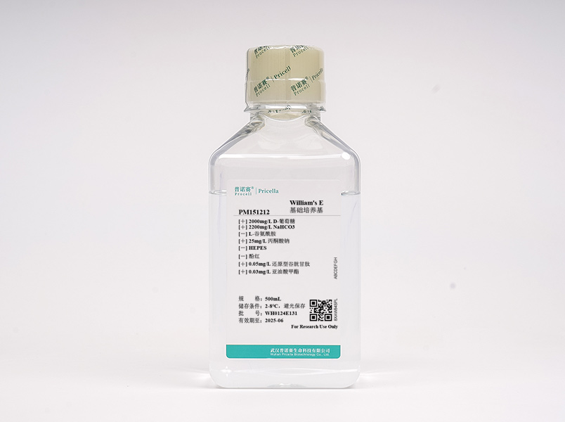 https://789.bio/ec/lemiS8
