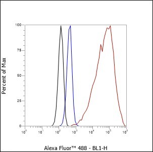 Recombinant ALOX15 Monoclonal Antibody - small - 5