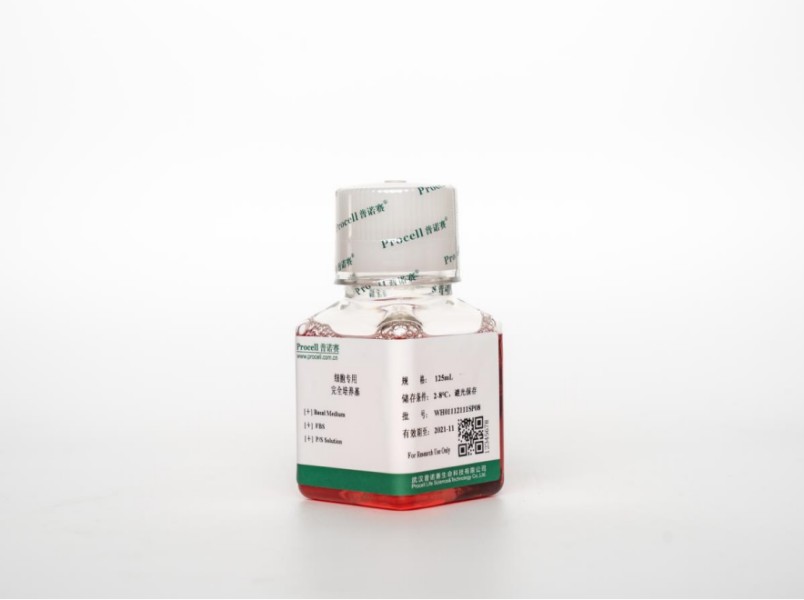 https://789.bio/ec/li1h5R