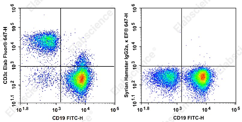 Elab Fluor<sup>®</sup>647 Anti-Mouse CD3ε Antibody[500A2] - 1