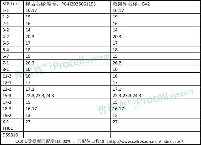 photo1