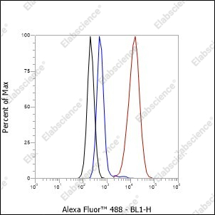 Recombinant QSOX1 Monoclonal Antibody - 2