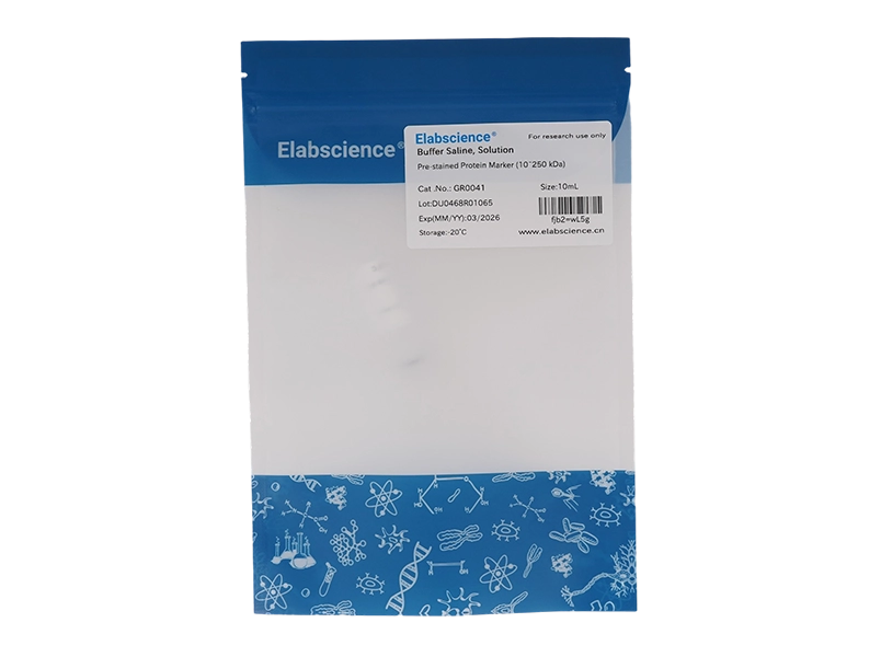 Pre-stained Protein Marker (10~250 kDa)