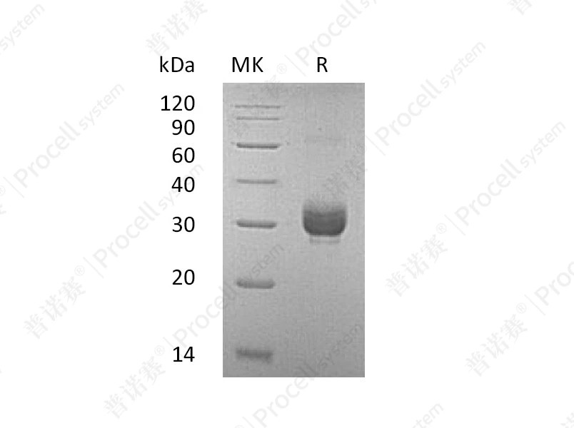 https://789.bio/ec/ly5GxL