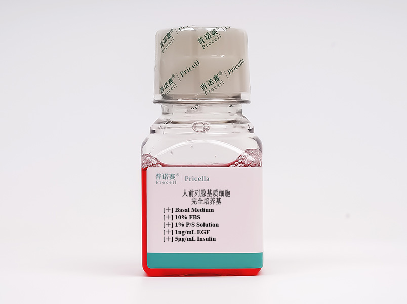 https://789.bio/ec/lyWHKG