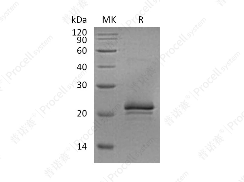 https://789.bio/ec/m1C8CK