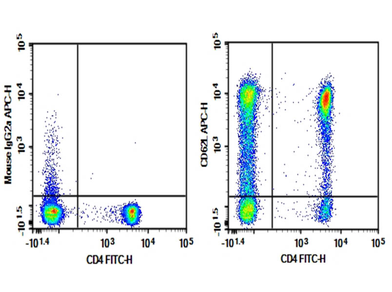 Purified Anti-Human CD62L Antibody[HI62L]-searchlist-1