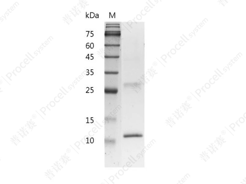 https://789.bio/ec/m50ZSR