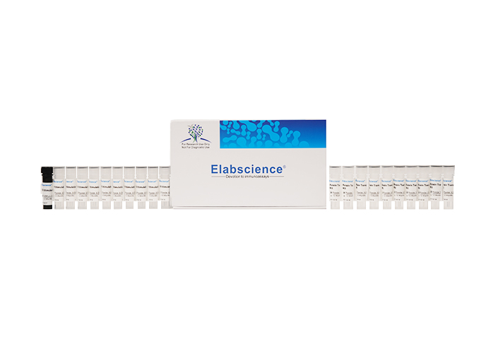 Cell Stimulation and Protein Transport Inhibitor Kit