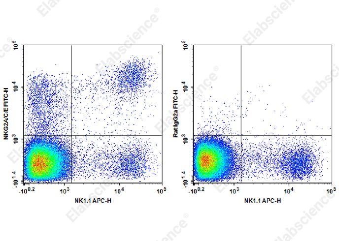 FITC Anti-Mouse NKG2A/C/E Antibody[20d5]-1