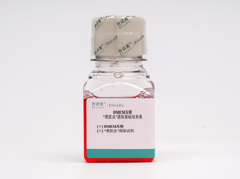 https://789.bio/ec/m5pmm9