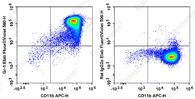 Elab Fluor® Violet 500 Anti-Mouse Ly-6G/Ly-6C (Gr-1) Antibody[RB6-8C5]-1