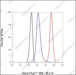Recombinant CD168 Monoclonal Antibody - 3