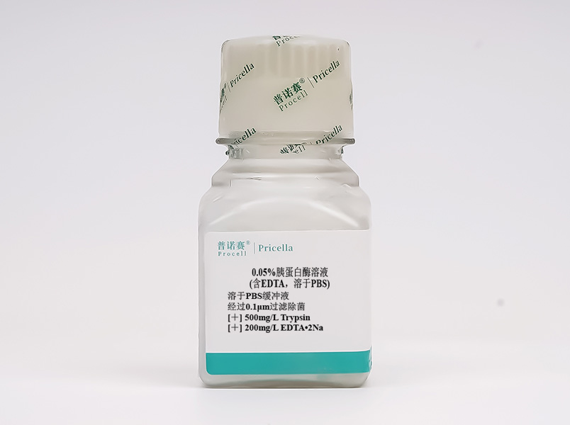 https://789.bio/ec/m9GVaS