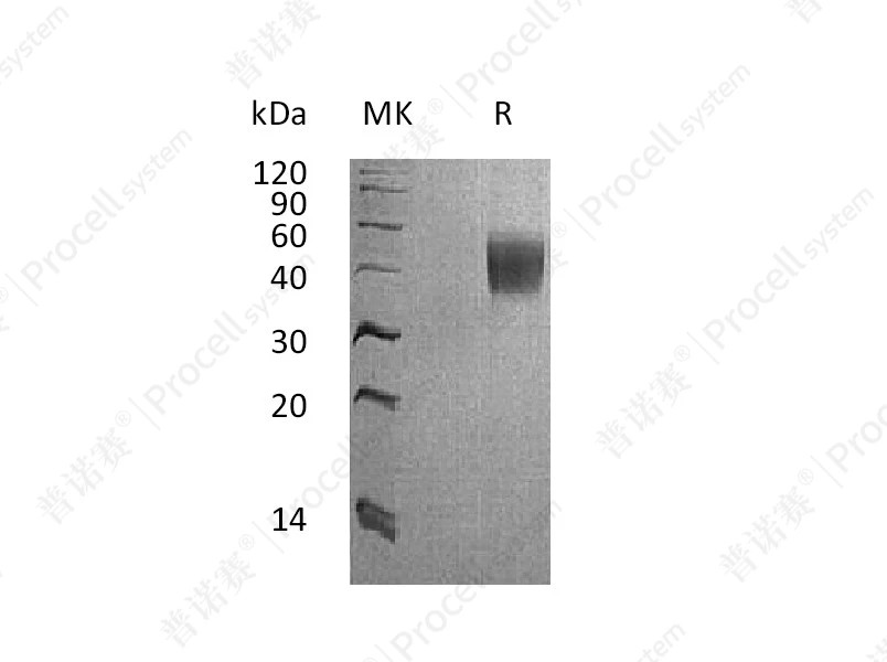 https://789.bio/ec/m9R8CG